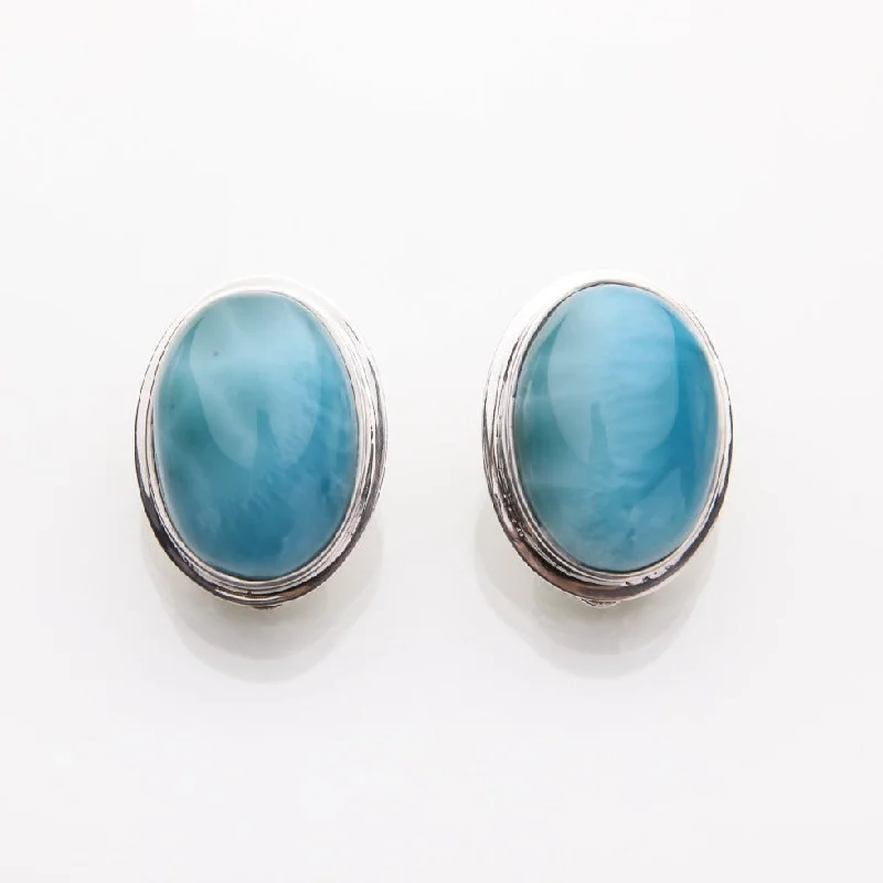 Unmissable Jewelry Clearance – Final Reductions Clip-on Larimar Earrings Ciara