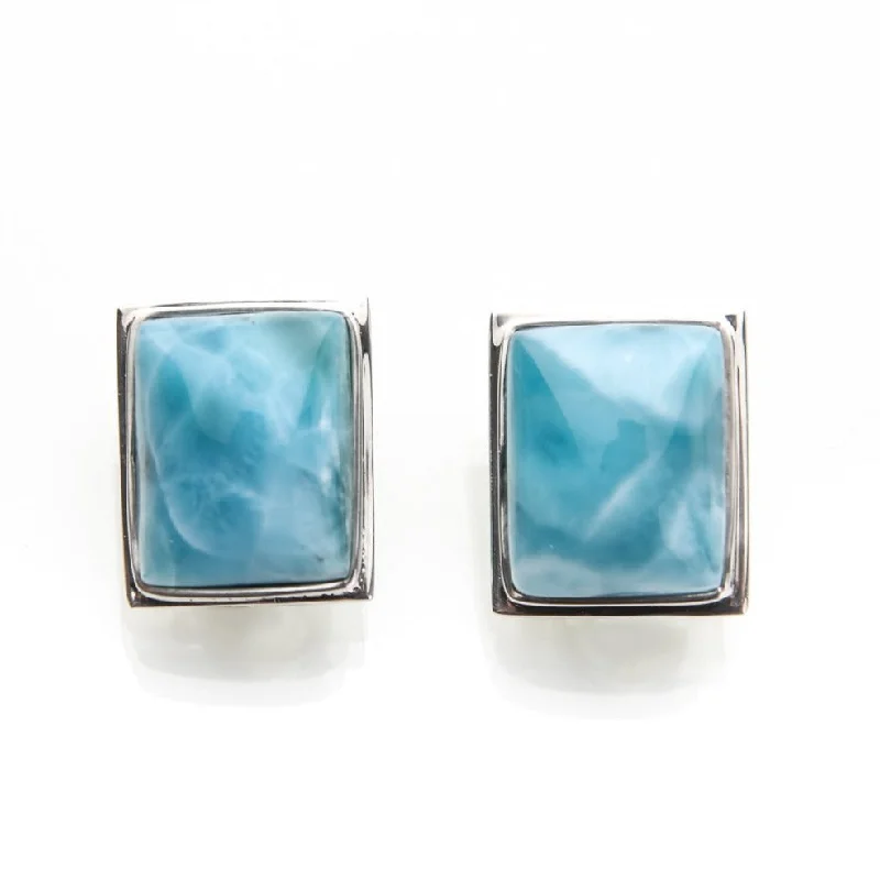 Get The Jewelry You Love At A Price You Love Larimar Clip On Earrings Nova